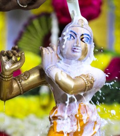 Glimpses of Radhashtami